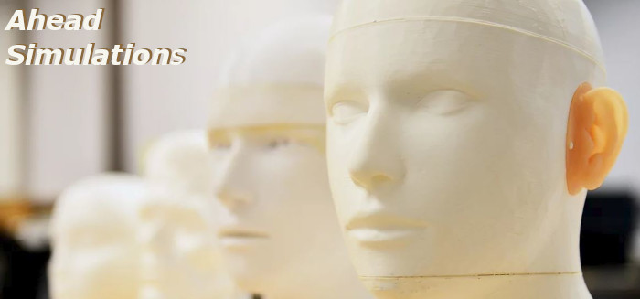 Ahead Simulations Robert Koch